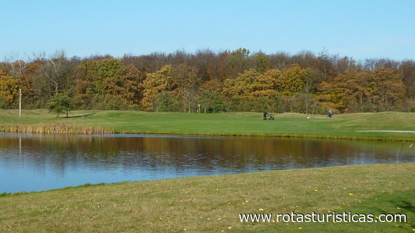Golfklubben Storstrømmen, Golf Courses Nykøbing . Falster - ROTAS TURISTICAS
