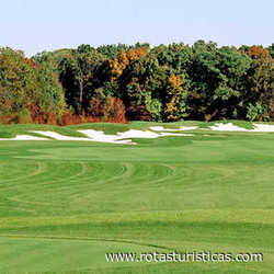 Golf Academy of Delaware
