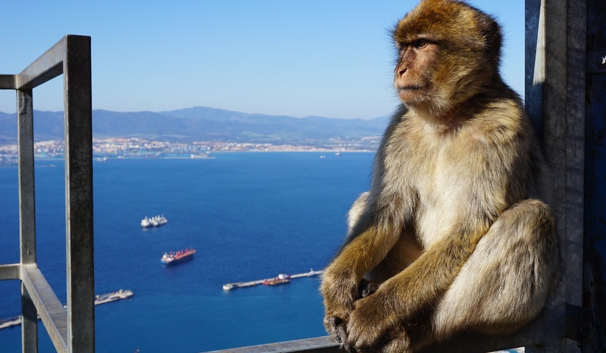 Day trip to Gibraltar with departure from the region of Albufeira