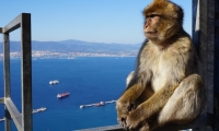 1 day trip to Gibraltar with departure from Faro