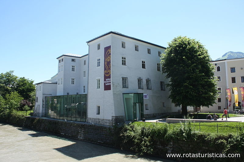 Museo Celta Hallein