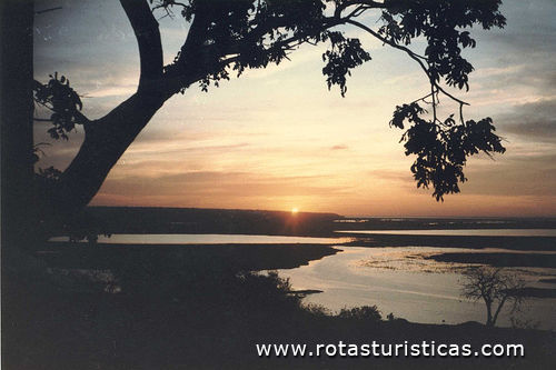 Rivière Paraguay à Corumbá