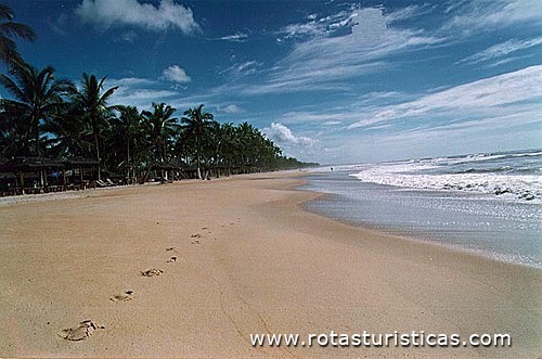 North Beach (Canavieiras - Bahia)