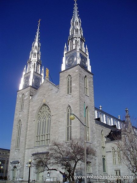 Basilica Cattedrale di Notre Dame (Ottawa)