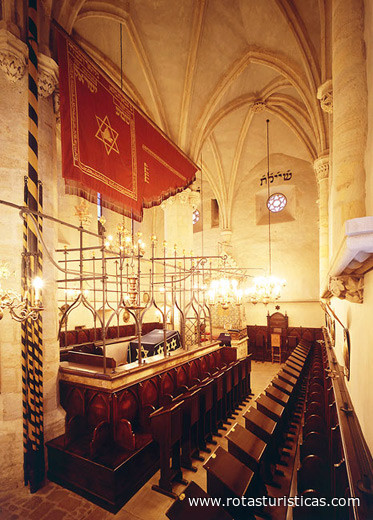 Sinagoga Vieja Nova (Praga)