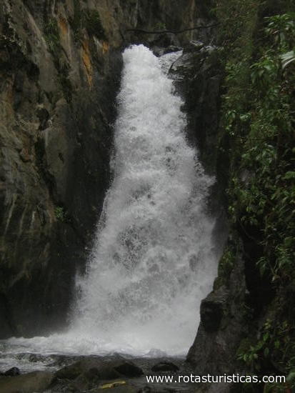 El Pulpito Waterfall (Tulcán)