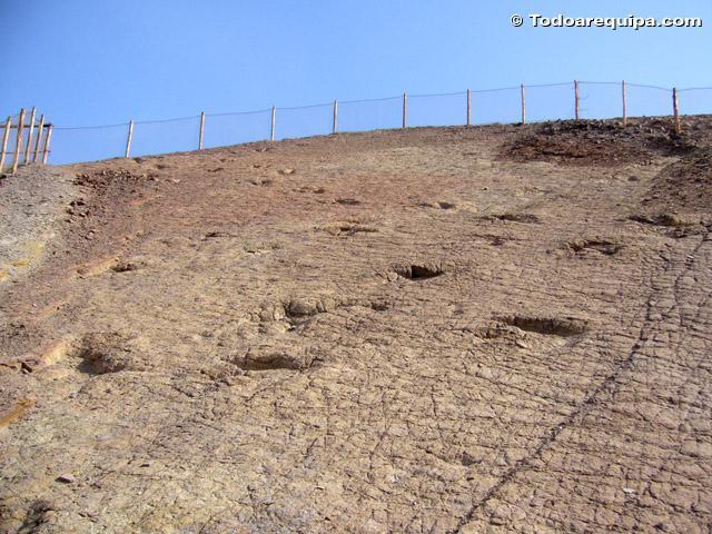 Dinosaur Footprints of Querullpa