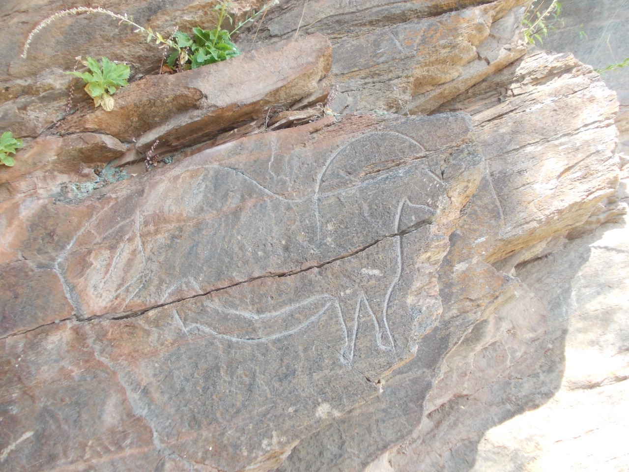 Rock engravings of Mazouco