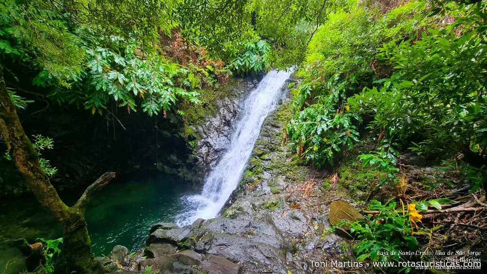 Small Waterfall, Fajã da Caldeira de Santo Cristo, São Jorge Island
