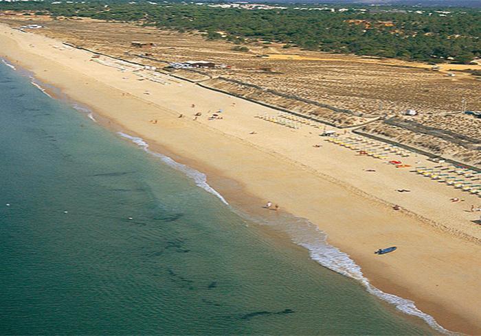Strand von Ancão (Loulé)