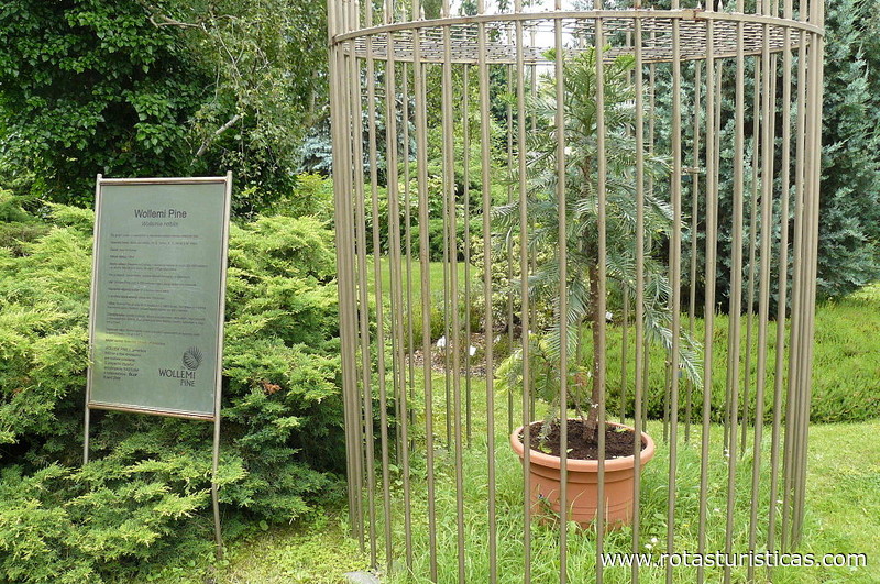 Botanical Garden (Bratislava)